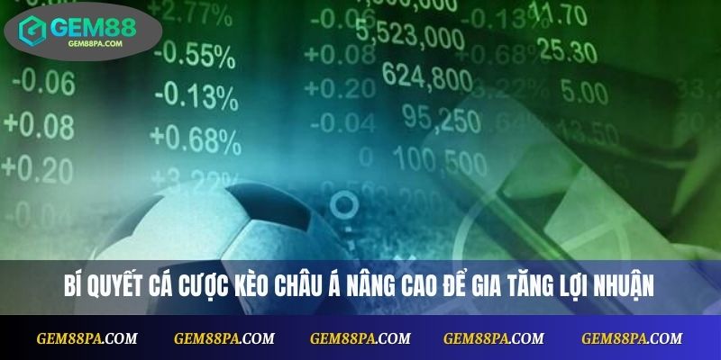 Bí quyết cá cược kèo Châu Á nâng cao để gia tăng lợi nhuận