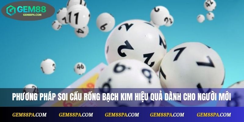 Phương pháp soi cầu Rồng Bạch Kim hiệu quả dành cho người mới