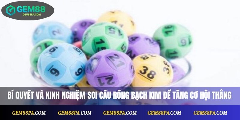 Bí quyết và kinh nghiệm soi cầu Rồng Bạch Kim để tăng cơ hội thắng