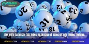 Soi Cầu Rồng Bạch Kim